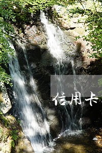 信用卡逾期 入职银行 信用卡逾期 入职银行